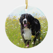 berner berghond in het veld keramisch ornament (Voorkant)