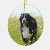 berner berghond in het veld keramisch ornament (Links)