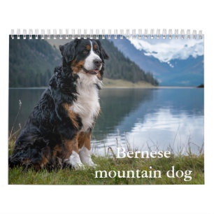 Berner berghond Kalender