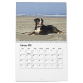 Berner berghond Kalender (Feb 2026)