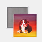 Berner berghond zittend op het strand magneet (Voorkant / Achterkant)