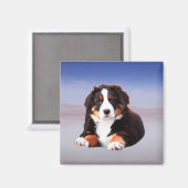 Berner berghond zittend op het strand magneet (Voorkant / Achterkant)