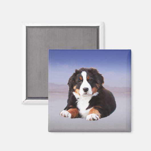 Berner berghond zittend op het strand magneet (Voorkant / Achterkant)