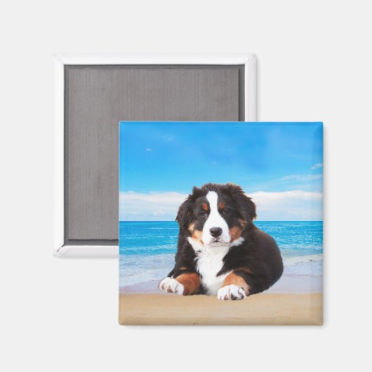 Berner berghond zittend op het strand magneet (Voorkant / Achterkant)