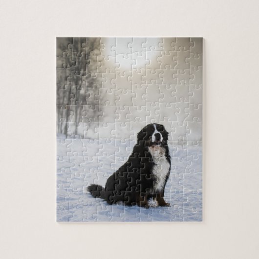 Berner Hond in de sneeuw Legpuzzel (Verticaal)