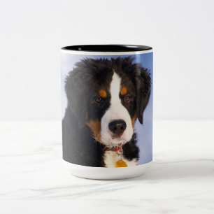 Berner Mountain Dog - Leuke Puppy Foto Tweekleurige Koffiemok