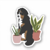 Berner Mountain Dog Puppy Sticker (Voorkant)