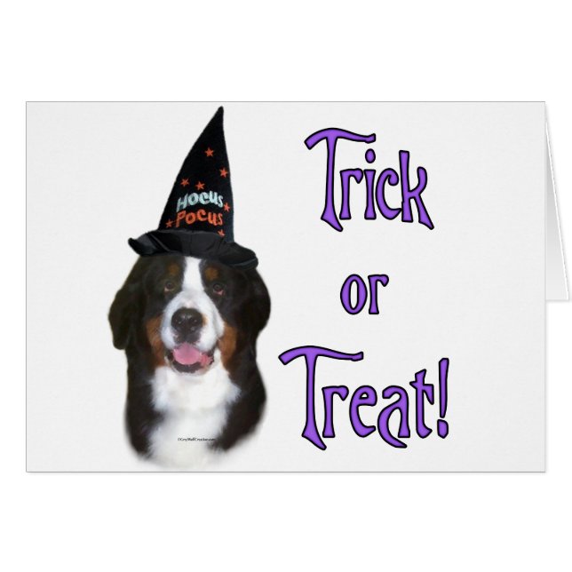 Berner Mountain Dog Trick (Voorkant Horizontaal)