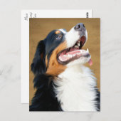 Berner Mountain Puppy Dog Blank Briefkaart (Voorkant / Achterkant)