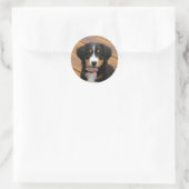 Berner Mountain Puppy Stickers (Tas)