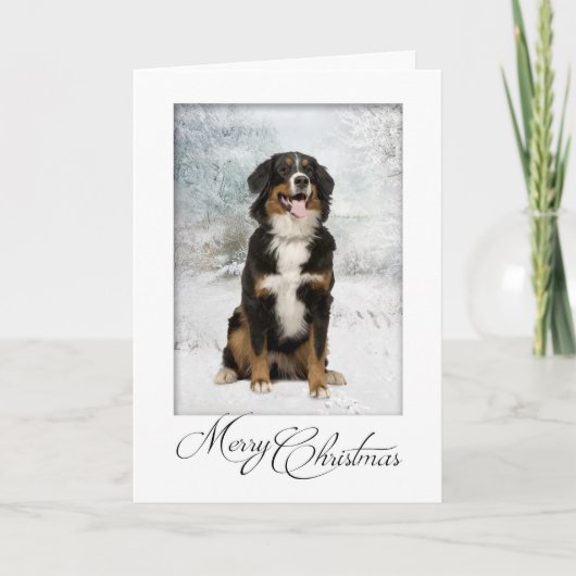 Berner Mt. Hond Kerst Kaart (Voorkant)