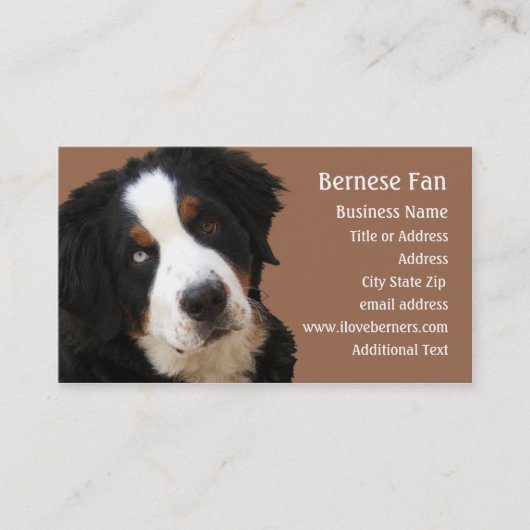 Berner Mtn Dog Visitekaartje - "Lucy" (Voorkant)