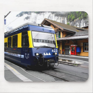 Berner Oberland-spoorwegtrein in Zwitserland Muismat