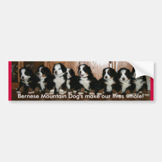 Berner Puppy-BUMPERS.. Bumpersticker