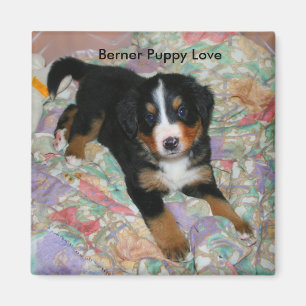 Berner Puppy Love Magnet Magneet