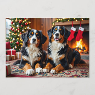 Berner Sennen Christmas Kaart