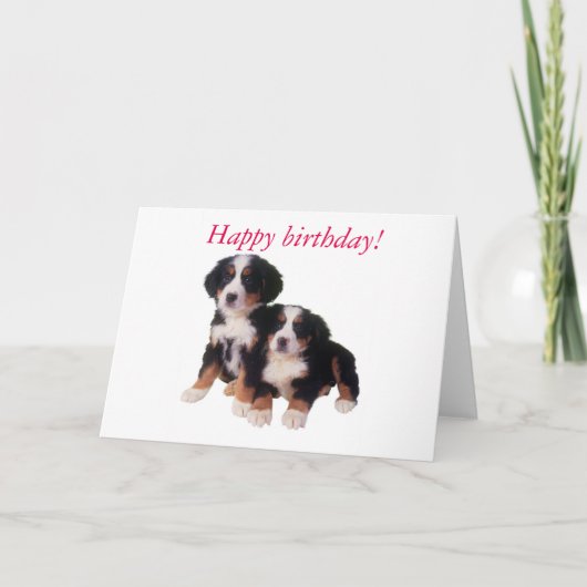 Berner Sennen Pups verjaardagskaart Kaart (Voorkant)