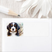 Berner Sennenhond AI Puppy Etiket (Insitu)