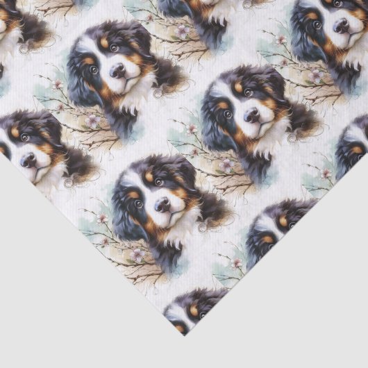 Berner Sennenhond AI Puppy Tissuepapier (Detail)