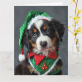Berner Sennenhond Elf Puppy Kerst Kaart (Gele Bloem)
