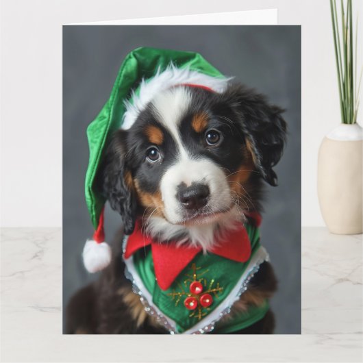 Berner Sennenhond Elf Puppy Kerst Kaart (Voorkant)
