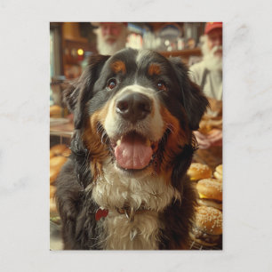 Berner Sennenhond in de Cheeseburger Winkel Briefkaart