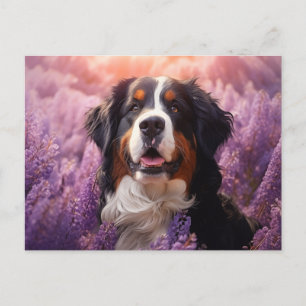 Berner Sennenhond in lavendel Briefkaart