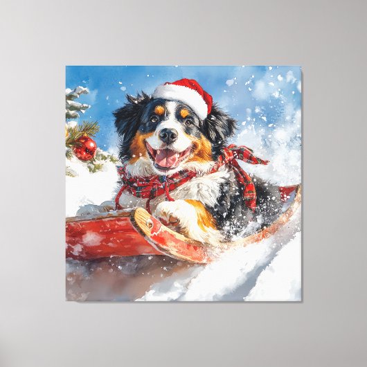 Berner Sennenhond in Sledge Kerstmis Canvas Afdruk (Voorkant)
