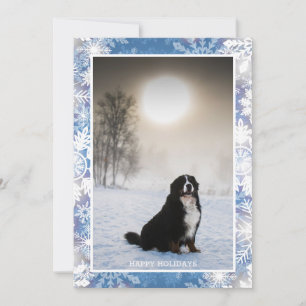Berner Sennenhond in Sneeuwwinter Uitzicht Foto Feestdagenkaart