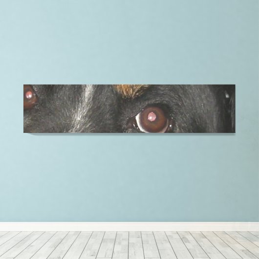 Berner Sennenhond Ogen Canvas Afdruk (Insitu (Houten vloer))