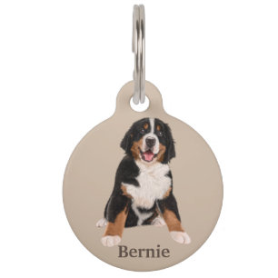 Berner Sennenhond Personaliseren Huisdierpenning