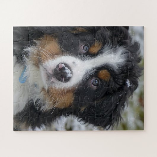 Berner Sennenhond Puppy Tweede Legpuzzel (Horizontaal)