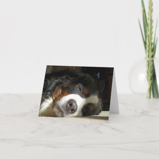 Berner Sennenhond slapen Bedankkaart (Voorkant)