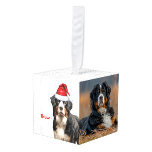 Berner Sennenhond Twee foto kerstvakantie Kubus Ornament