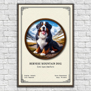 Berner Sennenhond Zoölogie Serie Poster