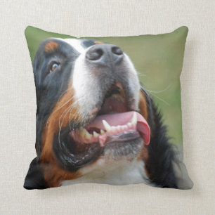 Berner Sennenhund Dog Pillow Kussen