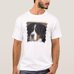 Berner Sennenhund Mannen T-Shirt