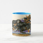 Berners op een quilt mok (Midden)