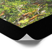 Bernese Autumn Leaves Poster (Hoek)