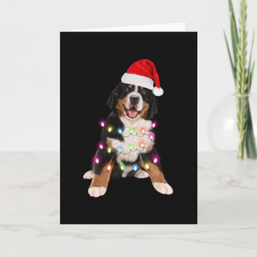 Bernese berg jongste kerstcadeau kaart (Voorkant)