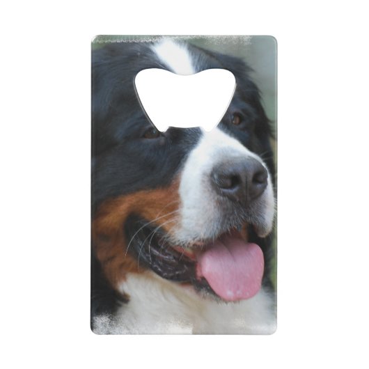 bernese-bergenhond-7 kredietkaart flessenopener (Voorkant)