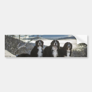 Bernese Berghond Groep Bumpersticker