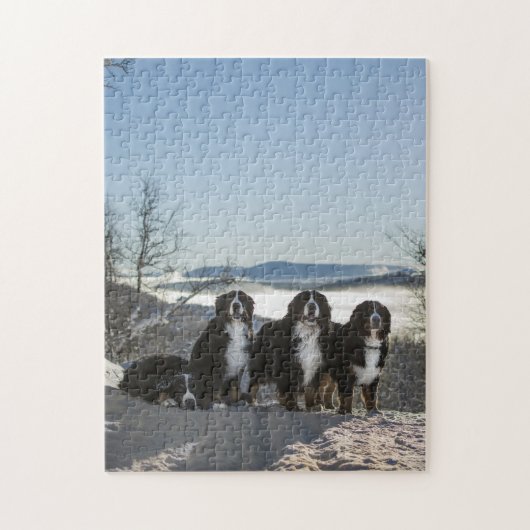 Bernese Berghond Groep Legpuzzel (Verticaal)