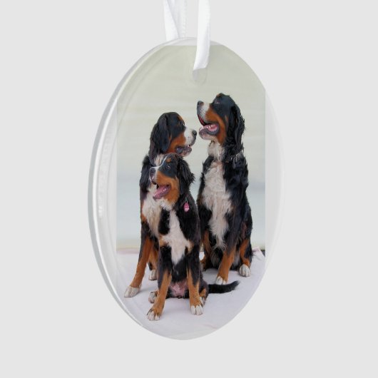 Bernese Berghond Groep Ornament (voorkant)
