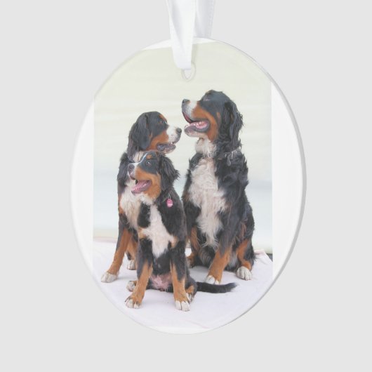 Bernese Berghond Groep Ornament (voorkant)