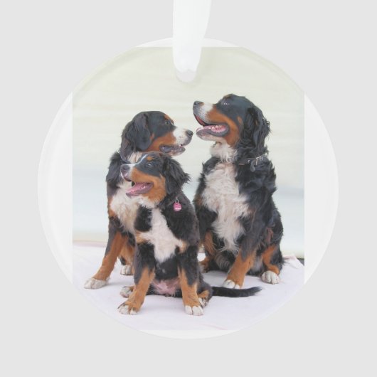 Bernese Berghond Groep Ornament (voorkant)