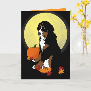 Bernese Berghond Halloween Herfst  Kaart