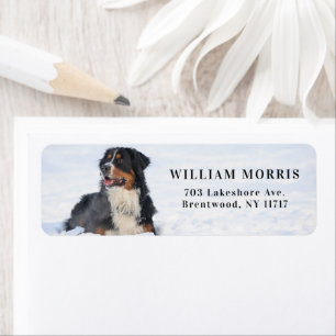 Bernese Berghond in Sneeuw Retouradres Etiket