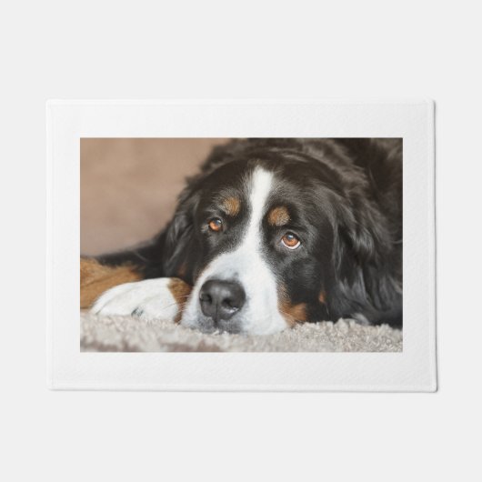 Bernese berghond liggend deurmat (Voorkant)