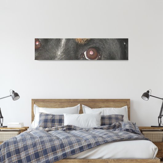 Bernese Berghond Ogen Canvas Afdruk (Insitu (Slaapkamer))